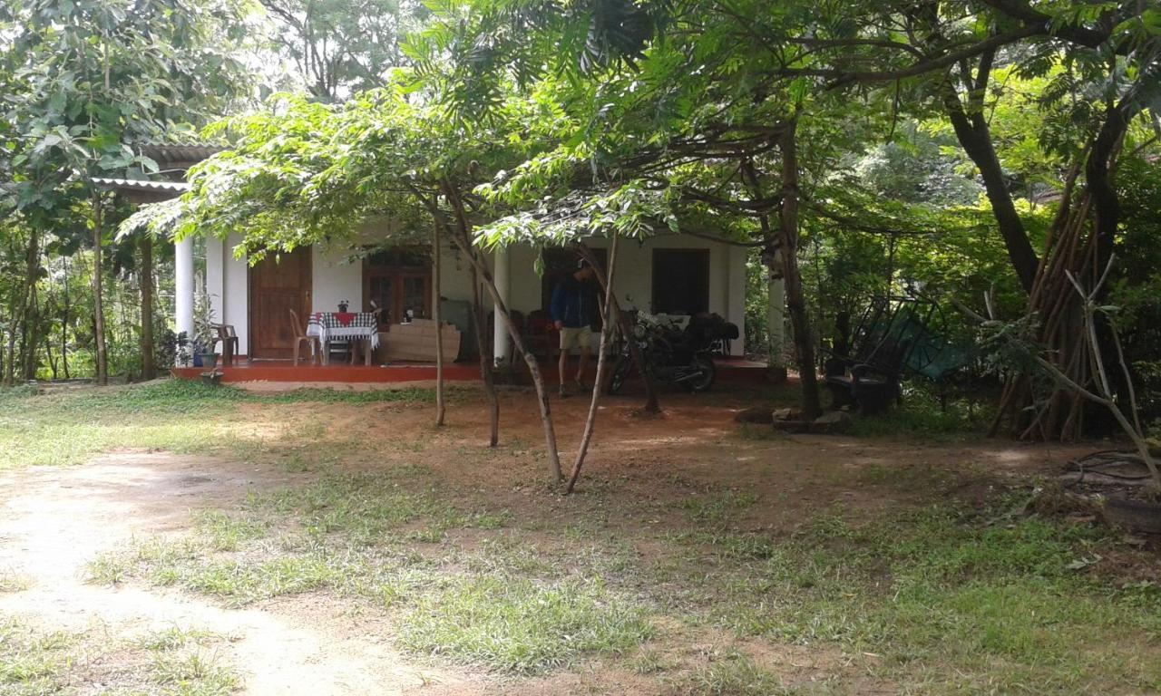 Appartement Family Nest à Dambulla Extérieur photo